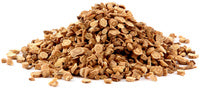 Astragalus root