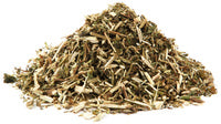 Bugleweed