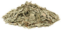 Eucalyptus leaves