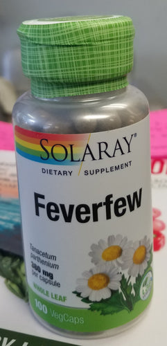 Feverfew