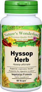 Hyssop herb