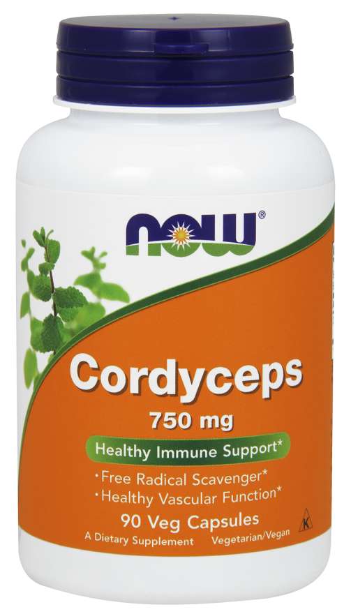 Cordyceps