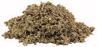 Sage leaves, garden