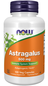 Astragalus